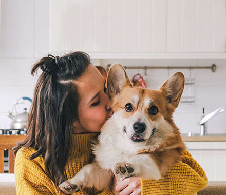 buffo bannerC 440x380px Bild2